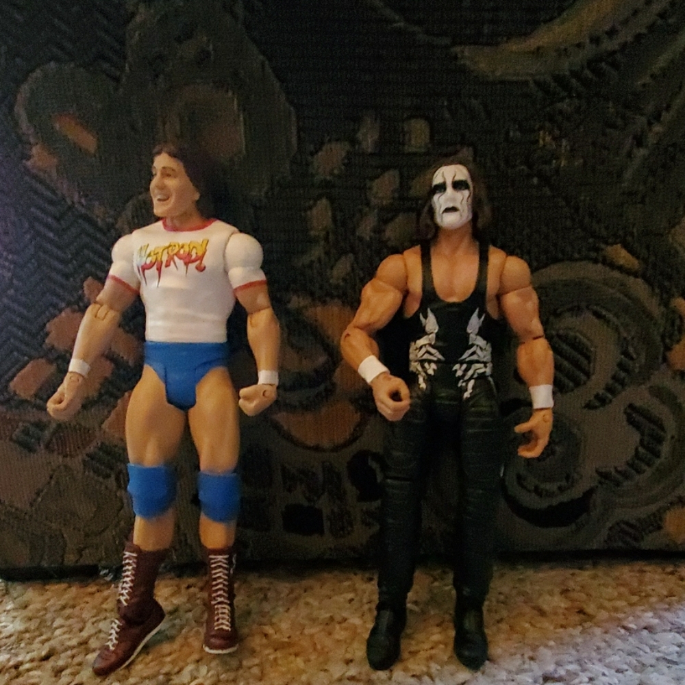 WWE Roudy Roddy Piper and Sting